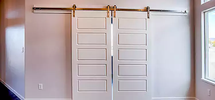 Glass Barn Door with Installation Hardware Kit Santa Barbara